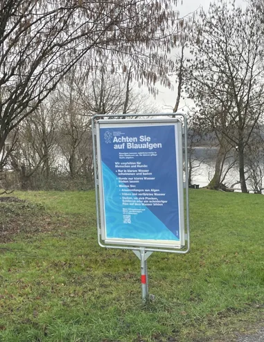 Am Greifensee sind mehrere Plakate aufgestellt, die über die Gefahr von Blaualgen informieren.